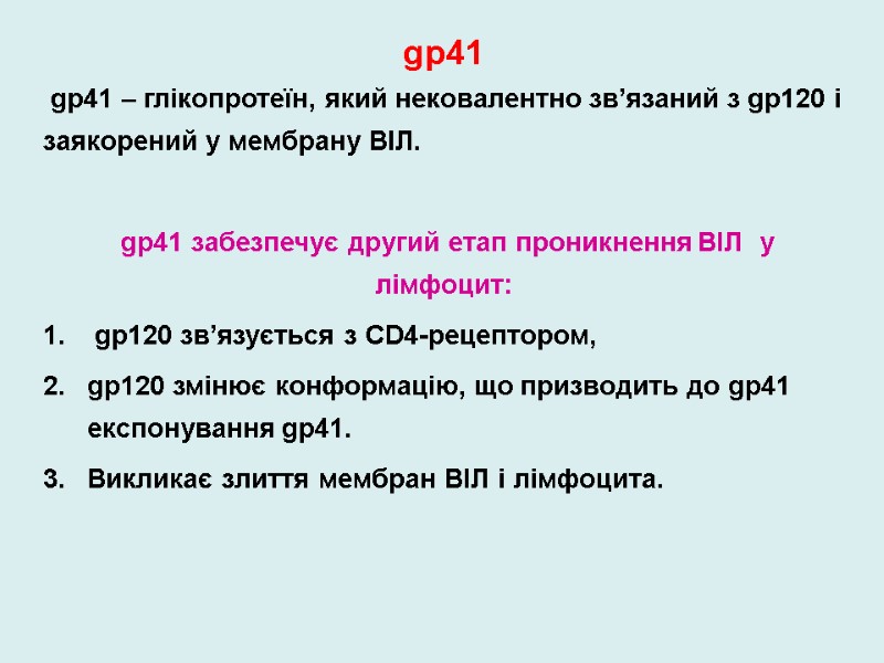 gp41   gp41 – глікопротеїн, який нековалентно зв’язаний з gp120 і заякорений у